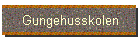 Gungehusskolen