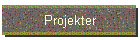 Projekter